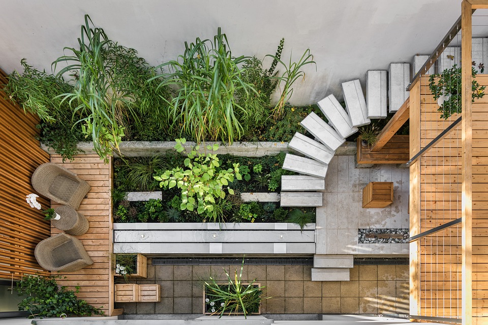 piante, indoor, verde, casa